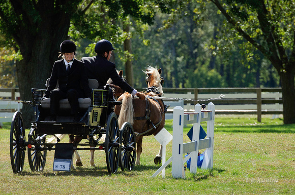 2010 Villa Louis Carriage Classic, St Feriole Island Wisconsin, outdoor photo