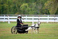 2010 Villa Louis Carriage Classic, St Feriole Island Wisconsin, outdoor photo